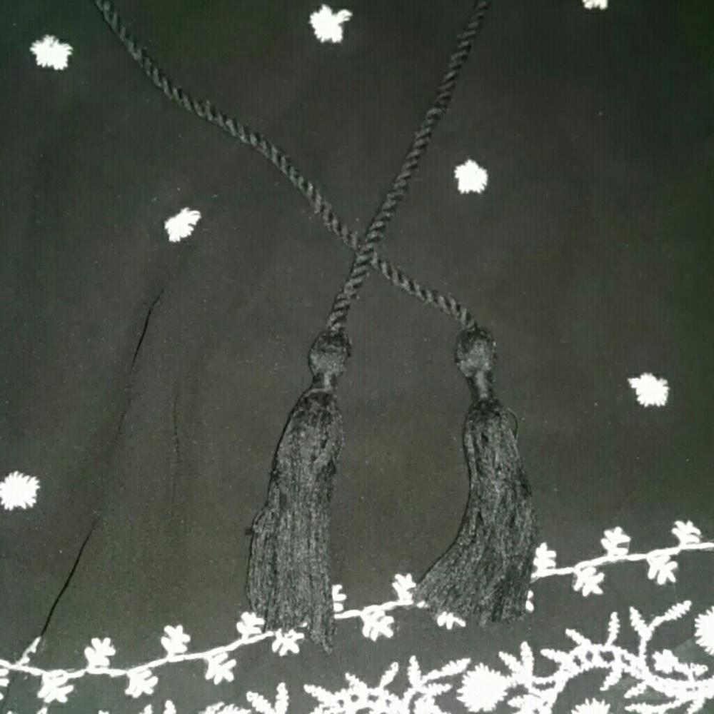 Sheer, Embroidered Top - Picture 3 of 5